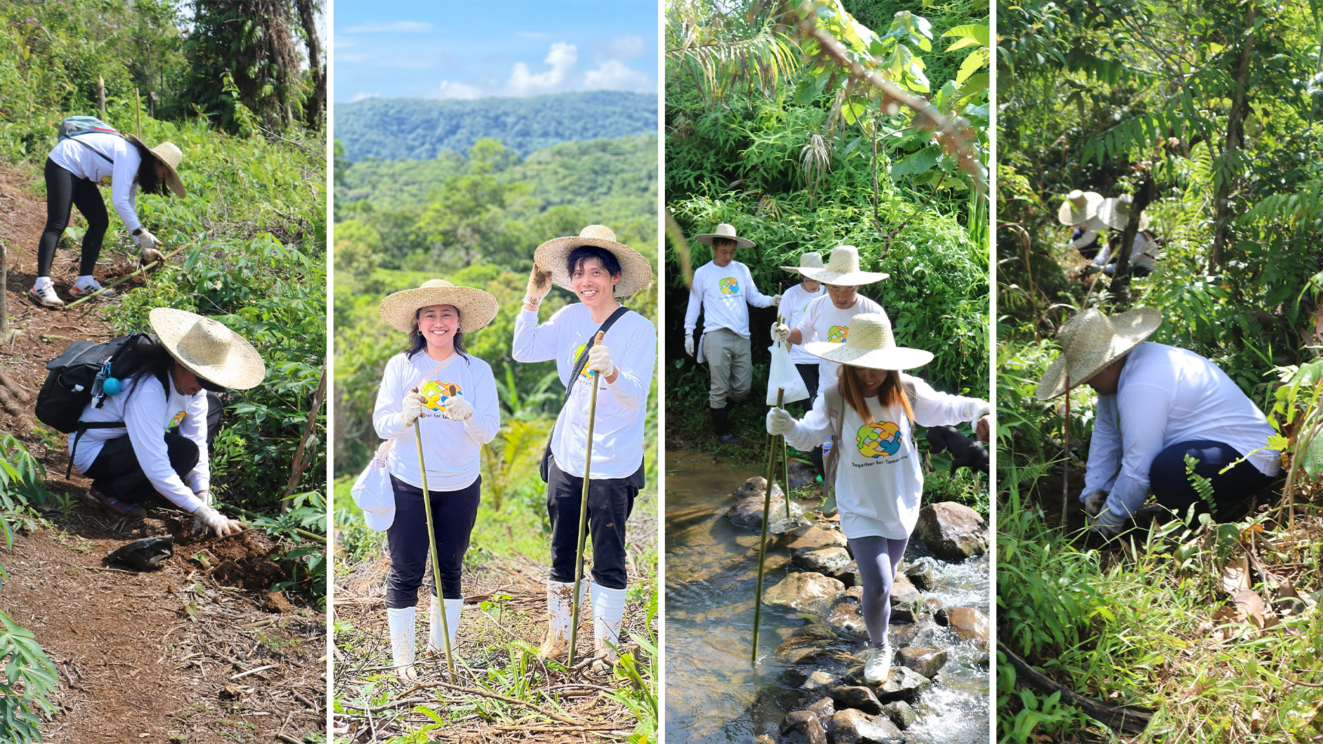 Tree planting 1920x1080 7